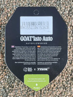 ROYAL QUEEN SEEDS X TYSON GOATlato Auto, 5 Samen automatic