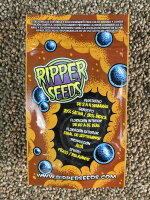 RIPPER SEEDS Washing Machine, 1 Samen feminisiert