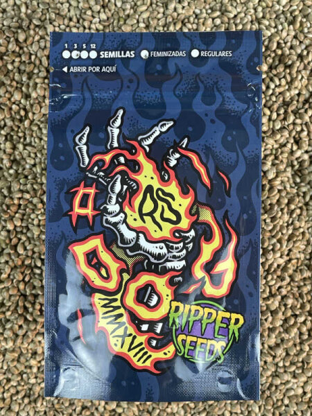 RIPPER SEEDS Do-g, 3 Samen feminisiert