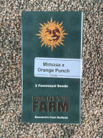 Barney`s Farm Seeds Mimosa x Orange Punch, 3 Samen...