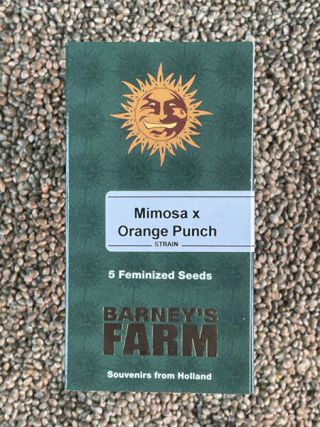 Barney`s Farm Seeds Mimosa x Orange Punch, 5 Samen feminisiert