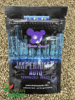 ANESIA SEEDS AUTO IMPERIUM X, 3 Samen automatic
