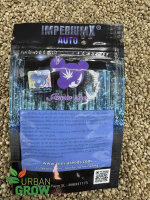 ANESIA SEEDS AUTO IMPERIUM X, 3 Samen automatic