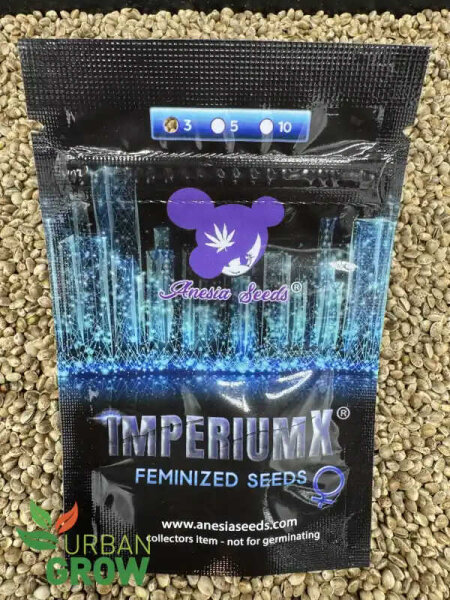 ANESIA SEEDS IMPERIUM X, 3 Samen feminisiert