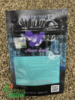 ANESIA SEEDS IMPERIUM X, 3 Samen feminisiert