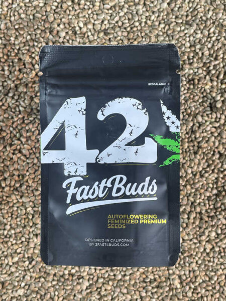 FastBuds Gelato Auto, 1 Samen automatic