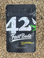 FastBuds Strawberry Pie Auto, 1 Samen automatic