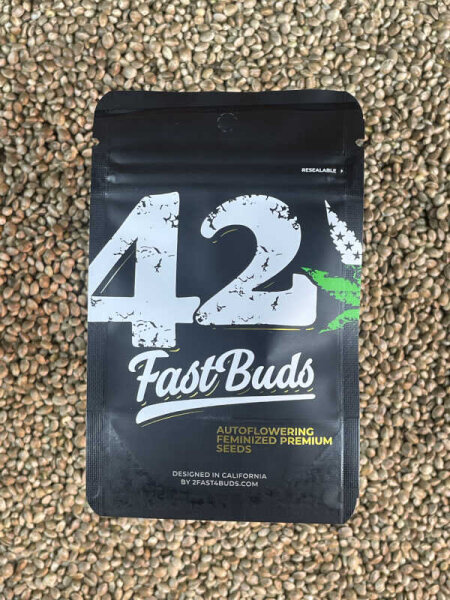 FastBuds Papaya Cookies Auto, 1 Samen automatic