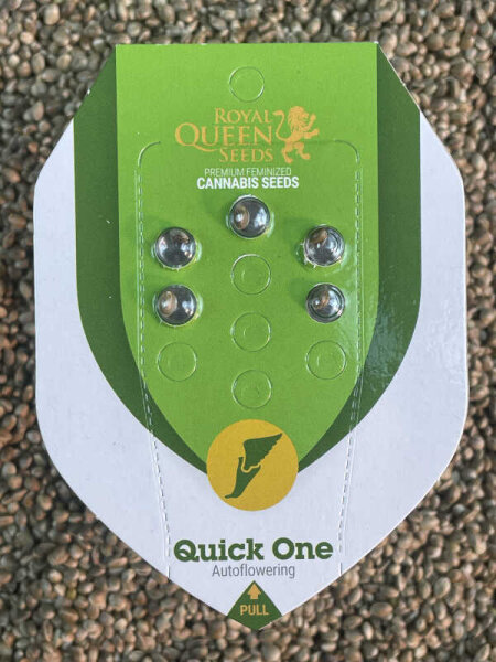 ROYAL QUEEN SEEDS Quick One Auto, 5 Samen automatic
