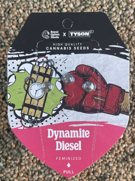 ROYAL QUEEN SEEDS X TYSON Dynamite Diesel, 3 Samen feminisiert