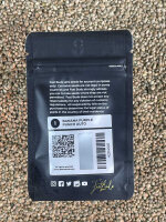 FastBuds Banana Purple Punch Auto, 1 Samen automatic