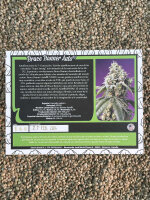 Sweet Seeds Bruce Banner Auto, 3+1 Samen automatic