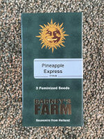 Barney`s Farm Seeds Pineapple Express, 3 Samen feminisiert