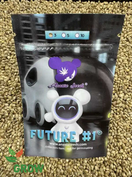 ANESIA SEEDS FUTURE#1, 3 Samen feminisiert