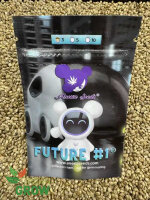 ANESIA SEEDS FUTURE#1, 3 Samen feminisiert