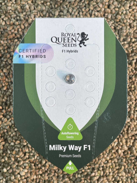 ROYAL QUEEN SEEDS Milky Way F1, 1 Samen automatic