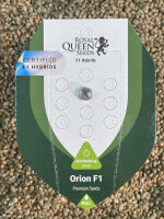 ROYAL QUEEN SEEDS Orion F1, 1 Samen automatic
