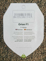 ROYAL QUEEN SEEDS Orion F1, 1 Samen feminisiert