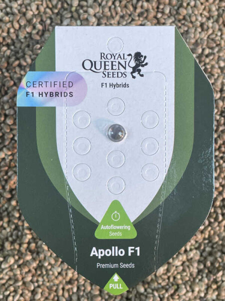 ROYAL QUEEN SEEDS Apollo F1, 1 Samen automatic