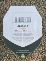 ROYAL QUEEN SEEDS Apollo F1, 1 Samen automatic