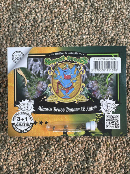 Sweet Seeds Mimosa Bruce Banner XL Auto, 5 + 2 Samen automatic