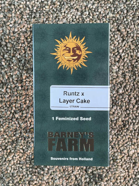 Barney`s Farm Seeds Runtz x Layer Cake, 1 Samen feminisiert