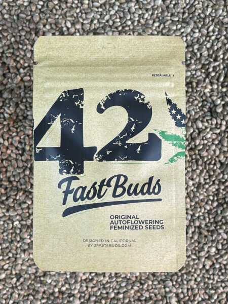 FastBuds Northern Lights Auto, 3 Samen automatic