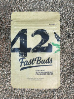 FastBuds Northern Lights Auto, 3 Samen automatic