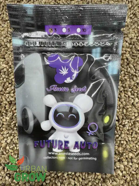 ANESIA SEEDS AUTO FUTURE#1, 3 Samen automatic
