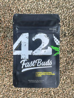 FastBuds Strawberry Gorilla Auto, 3 Samen automatic