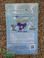 ANESIA SEEDS FUTURE ISLAND, 3 Samen feminisiert