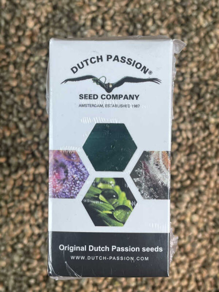 DUTCH PASSION Auto Candy Bubatz XL, 3 Samen automatic