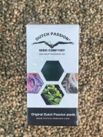 DUTCH PASSION Mokum´s Tulip, 3 Samen feminisiert