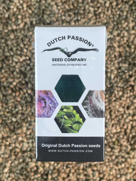 DUTCH PASSION Auto Power Plant, 3 Samen automatic
