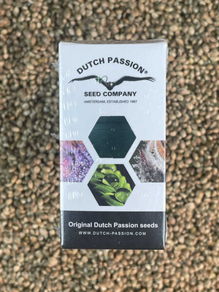 DUTCH PASSION Auto Mokum´s Tulip, 3 Samen automatic