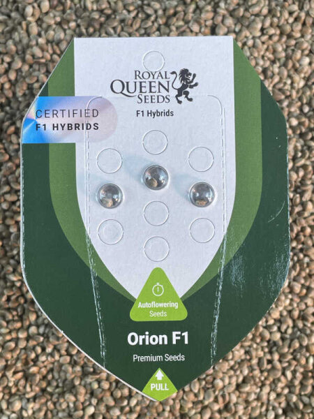 ROYAL QUEEN SEEDS Orion F1, 3 Samen feminisiert
