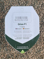 ROYAL QUEEN SEEDS Orion F1, 3 Samen automatic