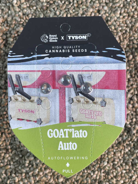 ROYAL QUEEN SEEDS GOAT`lato, 3 Samen automatic