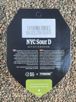 ROYAL QUEEN SEEDS NYC Sour D Auto, 3 Samen automatic