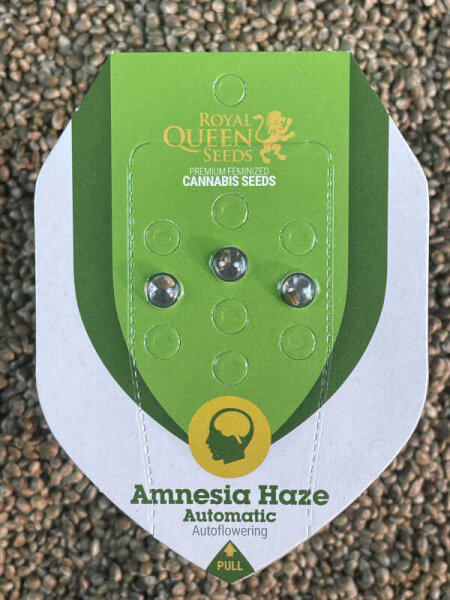 ROYAL QUEEN SEEDS Amnesia Haze Auto, 3 Samen automatic