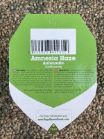 ROYAL QUEEN SEEDS Amnesia Haze Auto, 3 Samen automatic