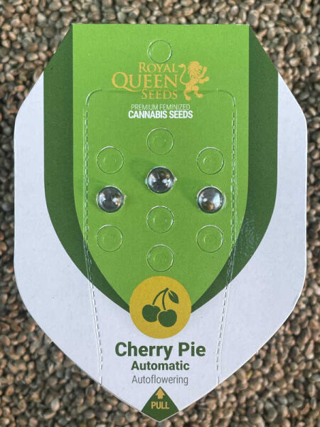 ROYAL QUEEN SEEDS Cherry Pie Auto, 3 Samen automatic