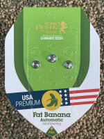 ROYAL QUEEN SEEDS Fat Banana Auto, 3 Samen automatic
