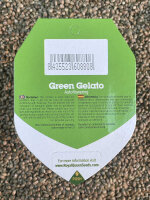 ROYAL QUEEN SEEDS Green Gelato Auto, 3 Samen automatic