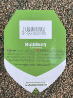 ROYAL QUEEN SEEDS HulkBerry Auto, 3 Samen automatic