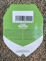 ROYAL QUEEN SEEDS Royal Gorilla Auto, 3 Samen automatic