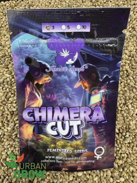 ANESIA SEEDS CHIMERA CUT, 3 Samen feminisiert