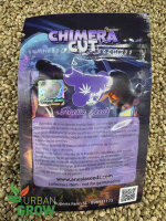 ANESIA SEEDS CHIMERA CUT, 3 Samen feminisiert