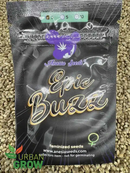 ANESIA SEEDS EPIC BUZZ, 3 Samen feminisiert