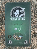 Sensi Seeds Silver Haze, 10 Samen regular